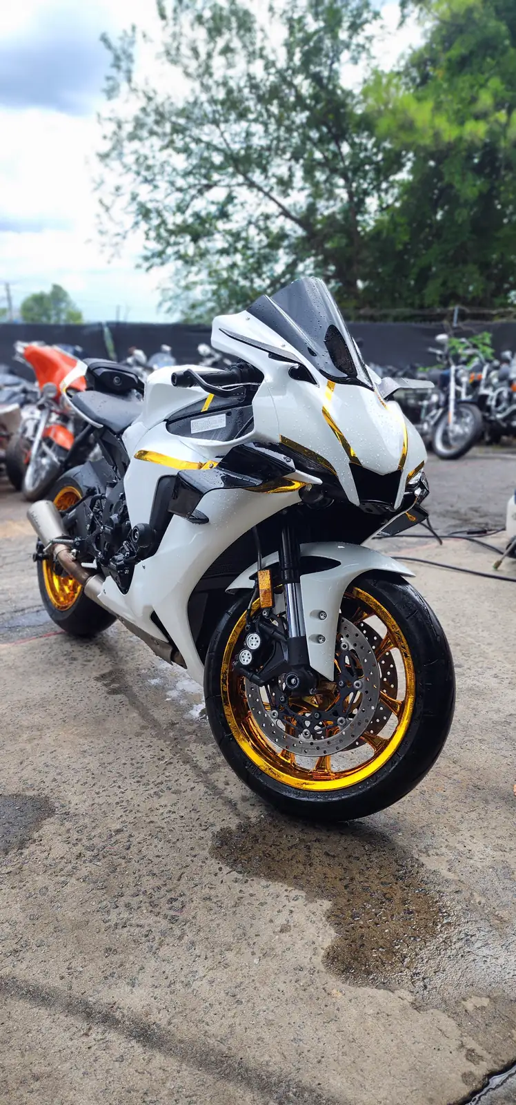custom motorcycle paint Atlanta — white Honda CBR1000RR with gold wheels and water beads after a wash